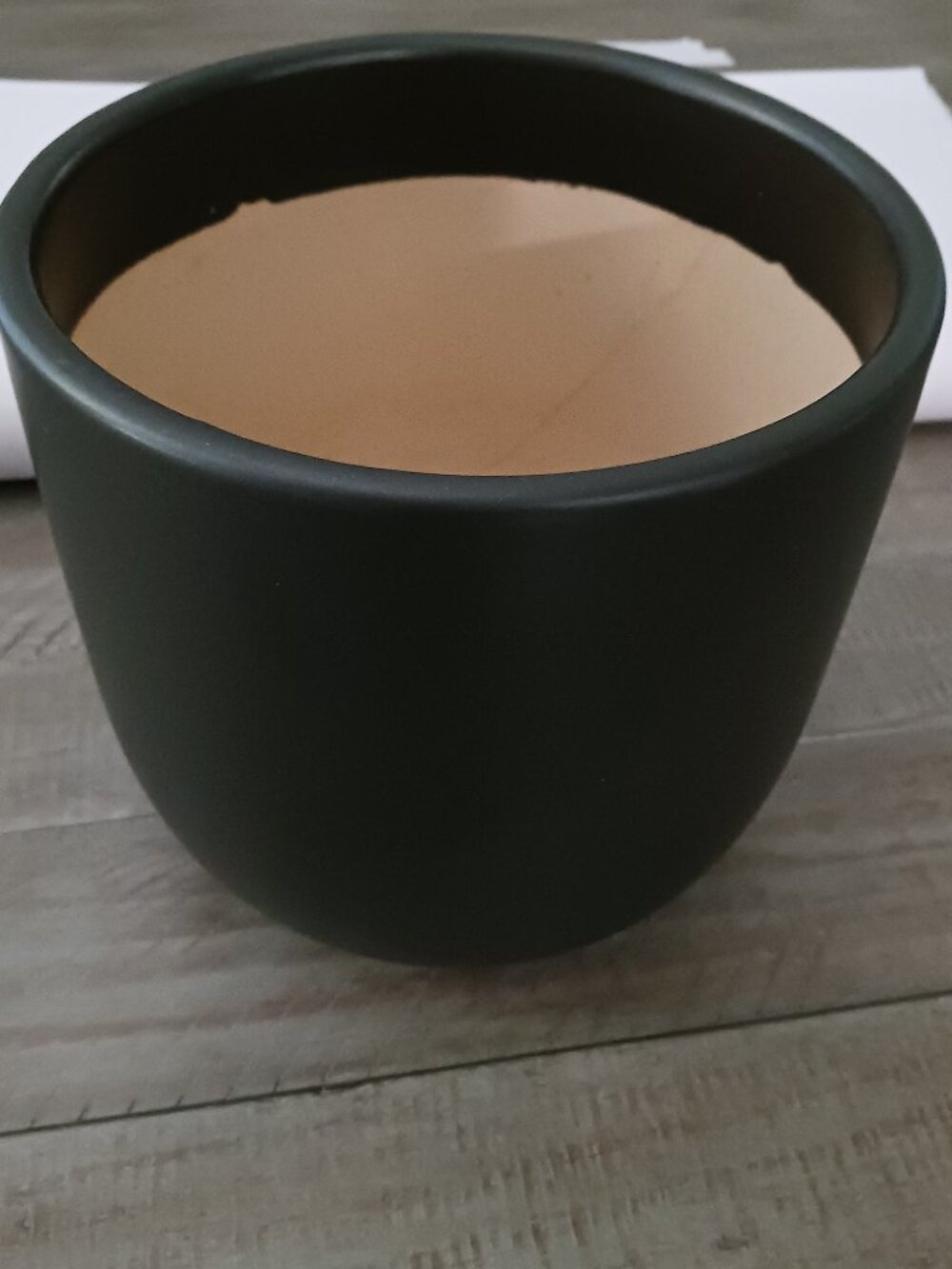 The Sill black matte ceramic planter modern flower pot